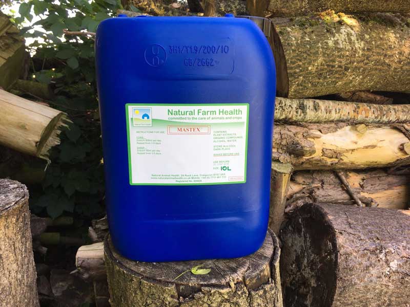 Fighting Mastitis in dairy cows with Mastex