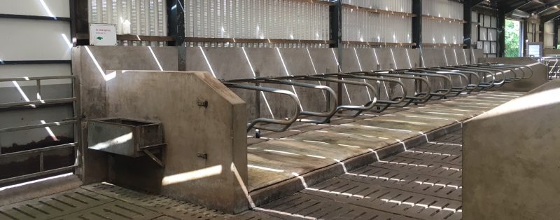 Clean cattle housing