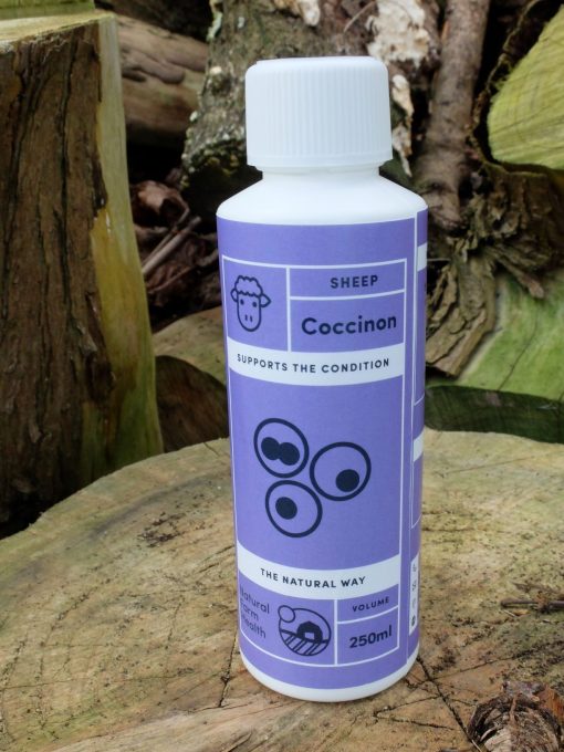 Coccinon to treat Coccidiosis in sheep naturally