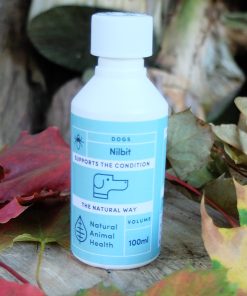 bottle of Nilbit for lice in dogs