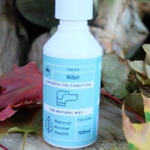 bottle of Nilbit for lice in dogs