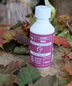 Bottle of Nilbit for Lice in horses